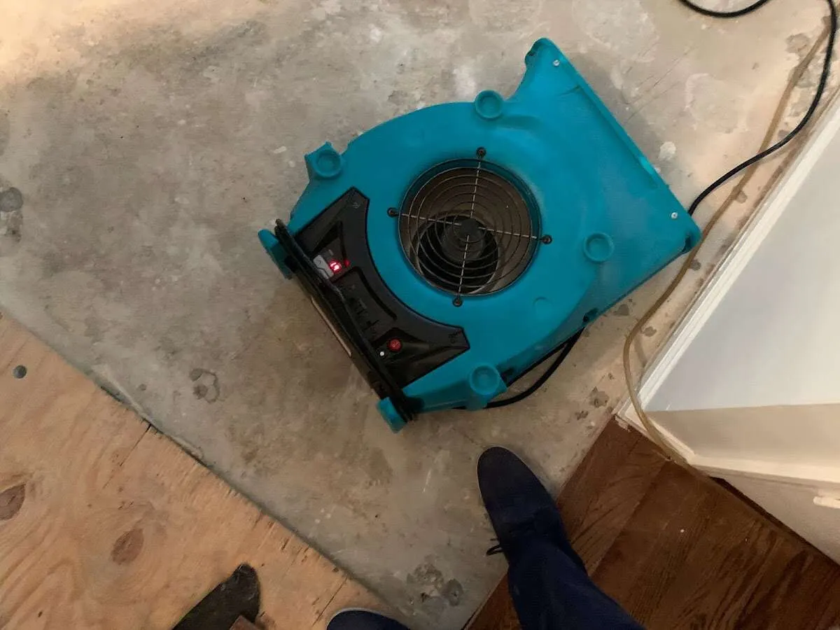 Air mover drying subfloor during Commercial Water Damage Restoration in Corte Madera